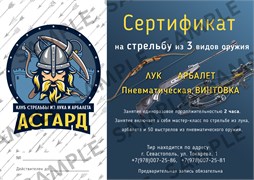 Сертификат на стрельбу из 3х видов оружия 2312