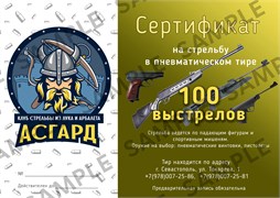 Сертификат на стрельбу из пневматического оружия 100 выстрелов 2313