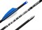 Стрела лучная карбоновая спортивная Centershot Flash оперение Shield 2" CSTJ-C02007-9