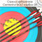 Стрела арбалетная карбоновая Centershot Bolt 20", оперение Q2i Fusion X-2 3", латунный инсерт CSB20Q2I